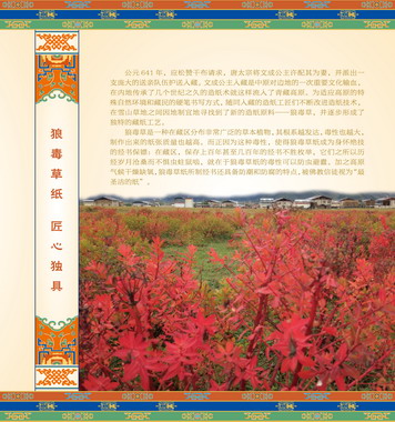迪庆展10.jpg