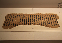 忘记名字的展品a.jpg
