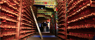 scgjbh_171130yyc_33.jpg