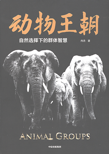 动物王朝 封面扫描.jpg